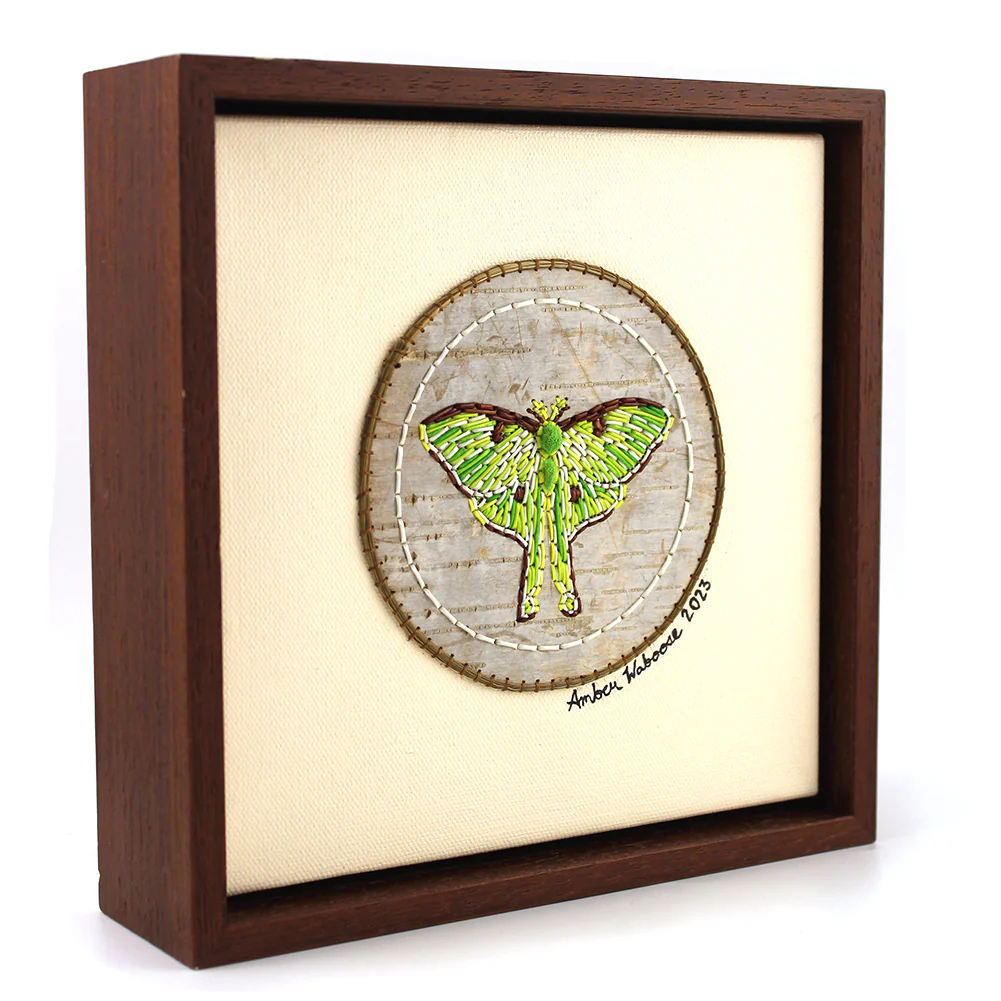Amber Waboose Quilled Lunar Moth Artwork