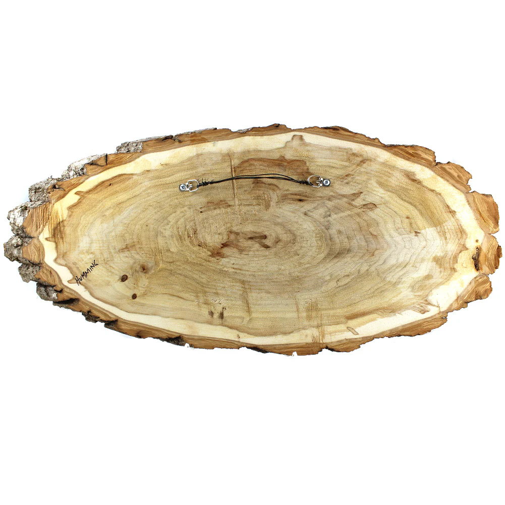 Jessica Somers Humming Wood Artwork