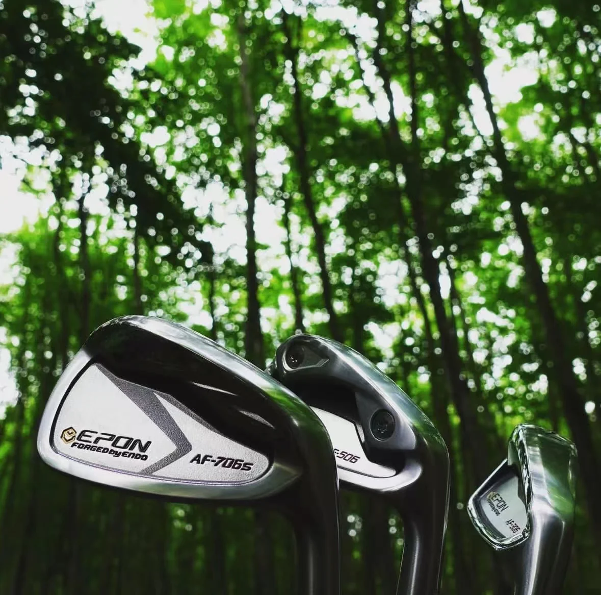 Epon-AF 706 Irons - Golf Master