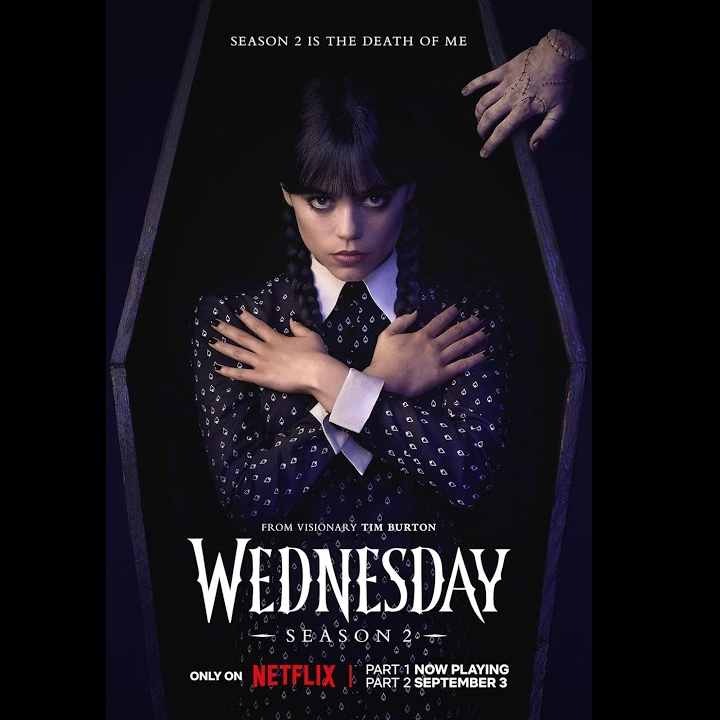 Movie & TV--Wednesday Addams Collection - Cossnyc