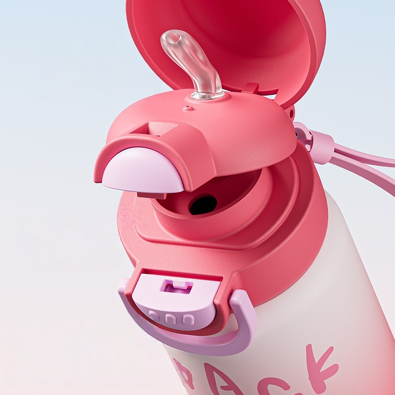 Insulated Water Bottle