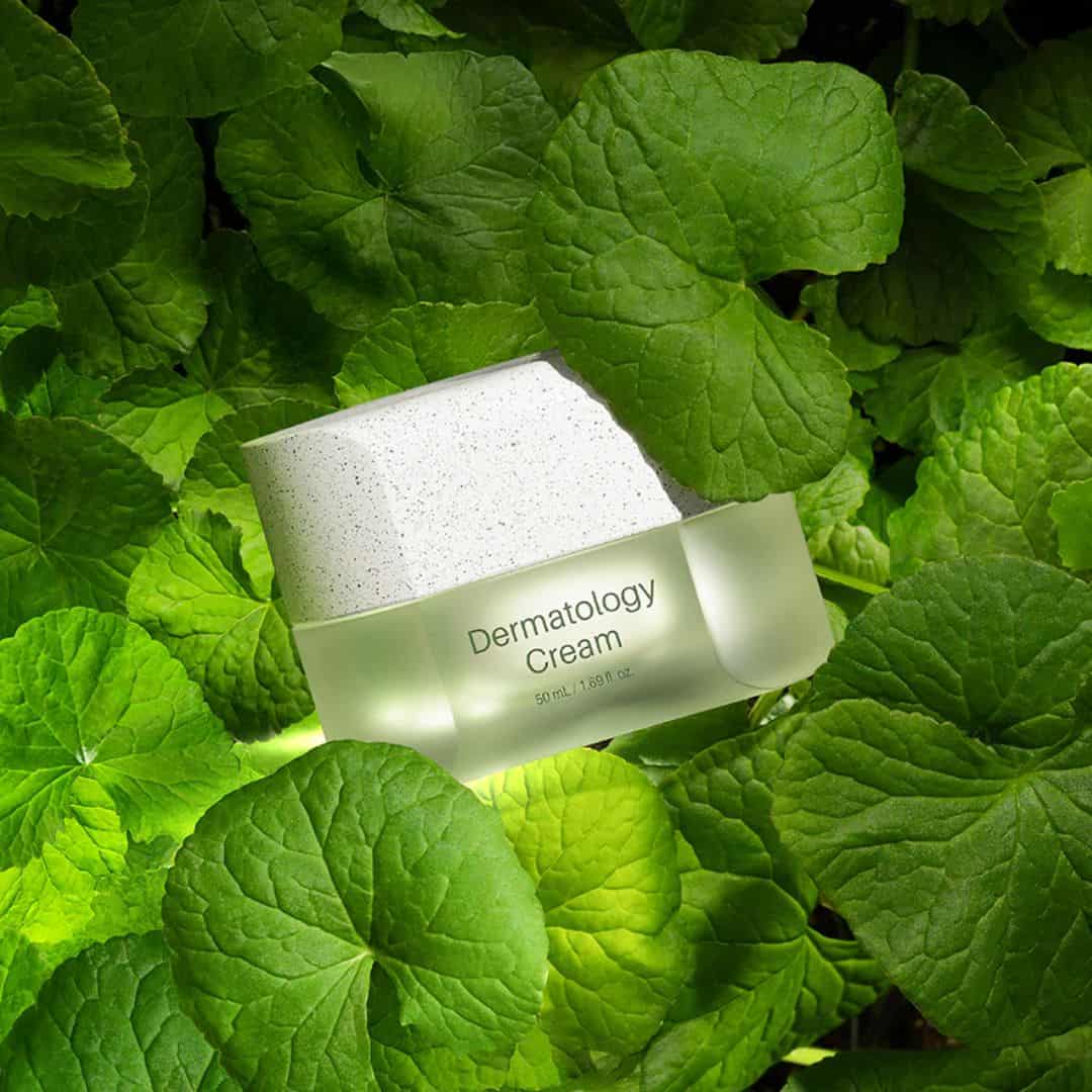 Incellderm Dermatology Cream (Renew Active Cream EX)